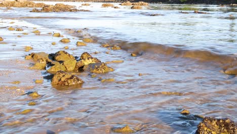 ocean waves gently cover coastal rocks