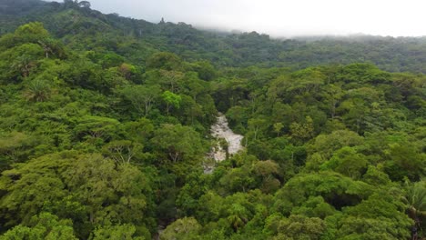 Dichter-Grüner-Wald-In-Den-Wolkigen-Bergen-Kolumbiens,-Minca-Dschungel,-Luftüberflug