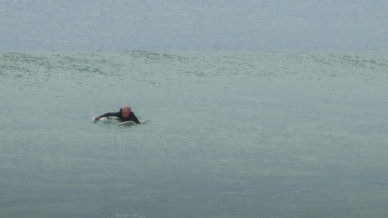surfista remando y esperando una ola