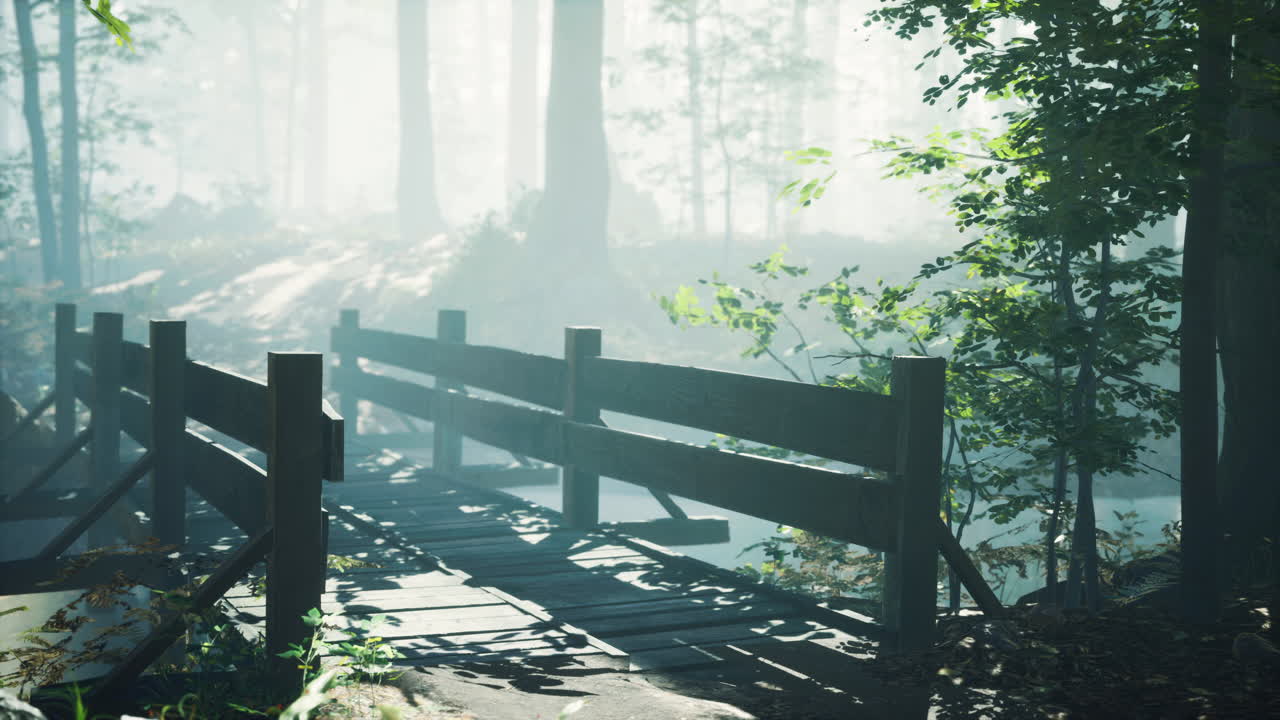 강 이 있는 숲 으로 가는 나무 다리