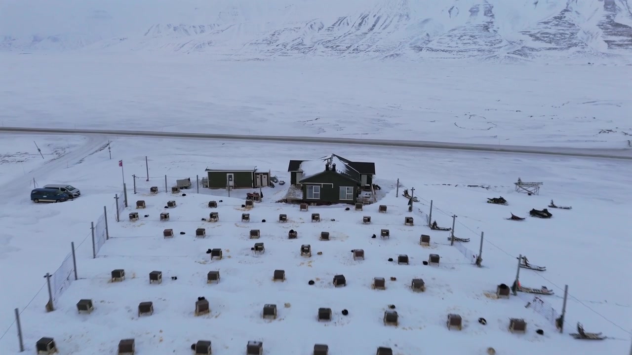 Campo di slitte trainate da cani con una baita, file di cucce per cani e veicoli parcheggiati su uno sfondo montuoso innevato nelle Svalbard, con avanzamento del drone.
