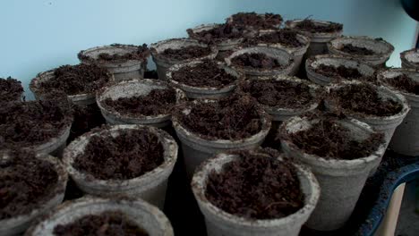 water is being used to irrigate the pots filled with soil, providing necessary moisture to promote plant growth