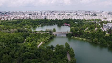 Vista-Aérea-En-El-Parque-En-Un-Día-Soleado