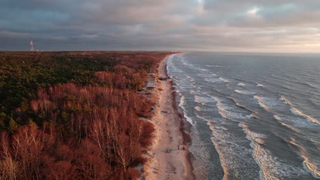 grandes olas con crestas blancas se extienden sobre una playa de arena con un denso bosque adyacente iluminado por la luz de un sol poniente con una alta torre de radio en el fondo