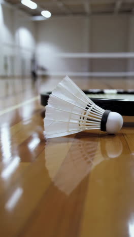 badminton racket and shuttlecock on court