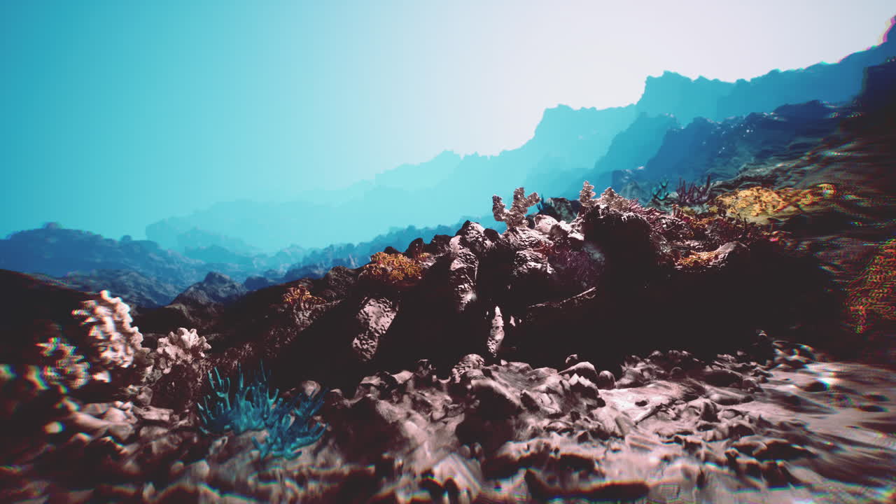 Exploring a vibrant seabed teeming with marine life and coral formations