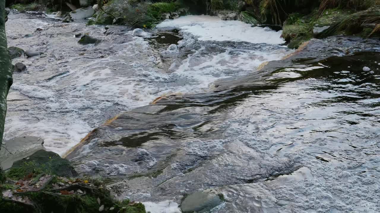 Tranquillo bosco invernale con un ruscello lento, querce dorate e foglie cadute, che offre una scena pacifica e rilassante.
