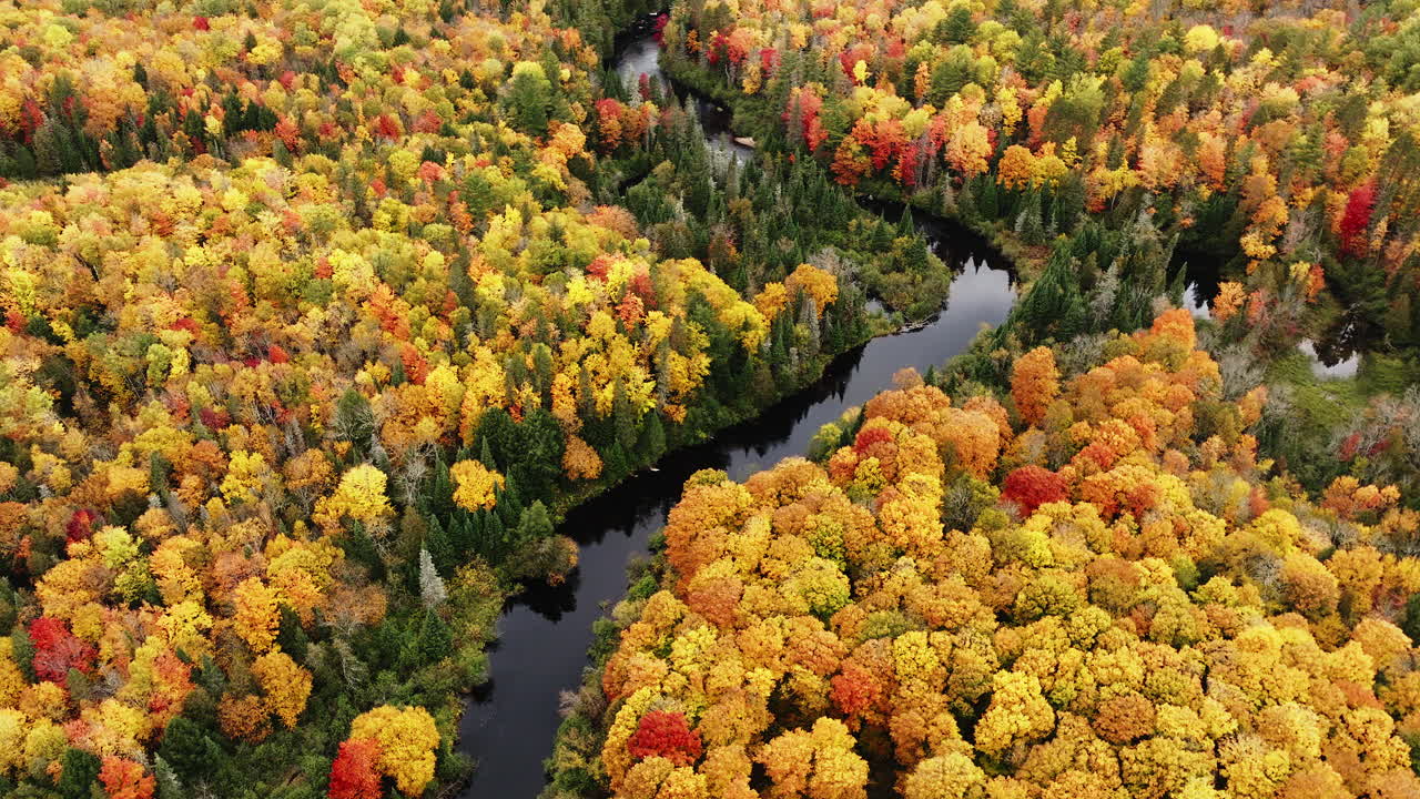 una foto de un dron de un río a todo color en el otoño en el norte de michigan
