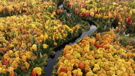 Una-Foto-De-Un-Dron-De-Un-Río-A-Todo-Color-En-El-Otoño-En-El-Norte-De-Michigan