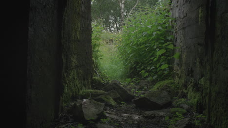 gimbal shot moving slowly backward into a bunker at a coastal battery site