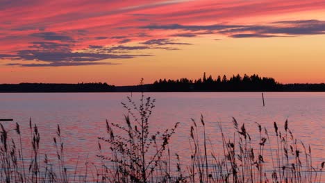 crimson sunset on the background of the gulf of bothnia