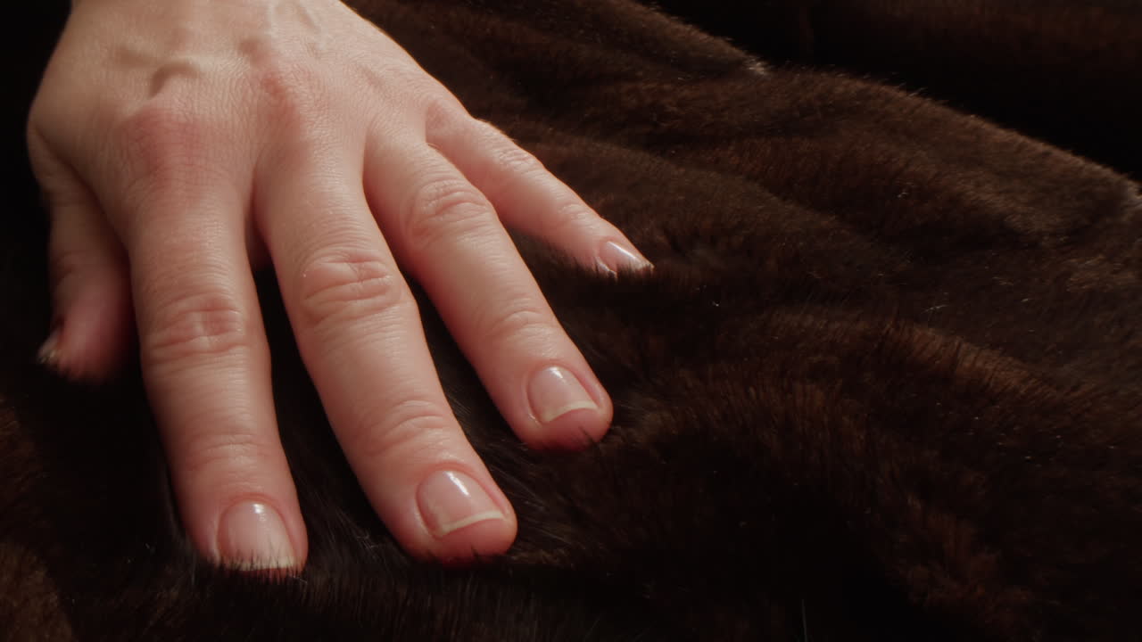 Hand on fur