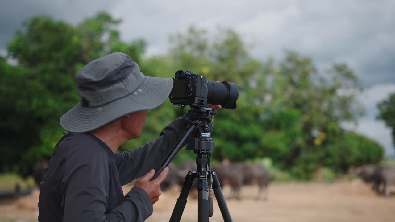 Photographer Documenting Water Buffalo