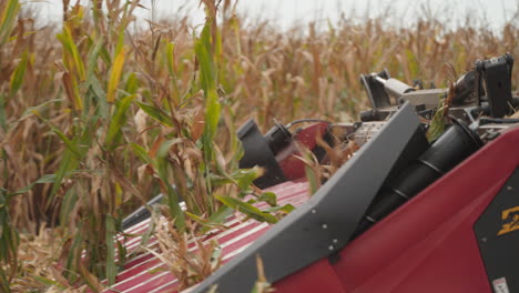 grain head harvesting corn in a field, close up slow motion