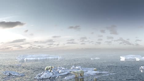 polar bears on melting ice floes