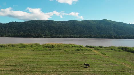 banks of the mekong river with mountains in northeast thailand border with laos, drone shot