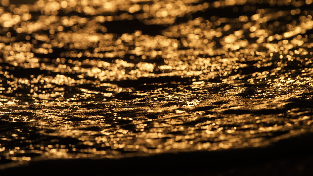 Golden sunset light reflects off gentle waves creating a warm, shimmering scene over water