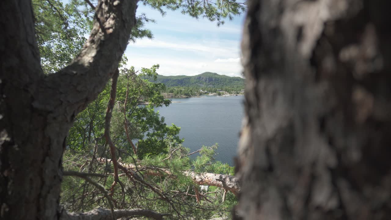 Beautiful lake background reveal behind forest trees in summer, slider shot