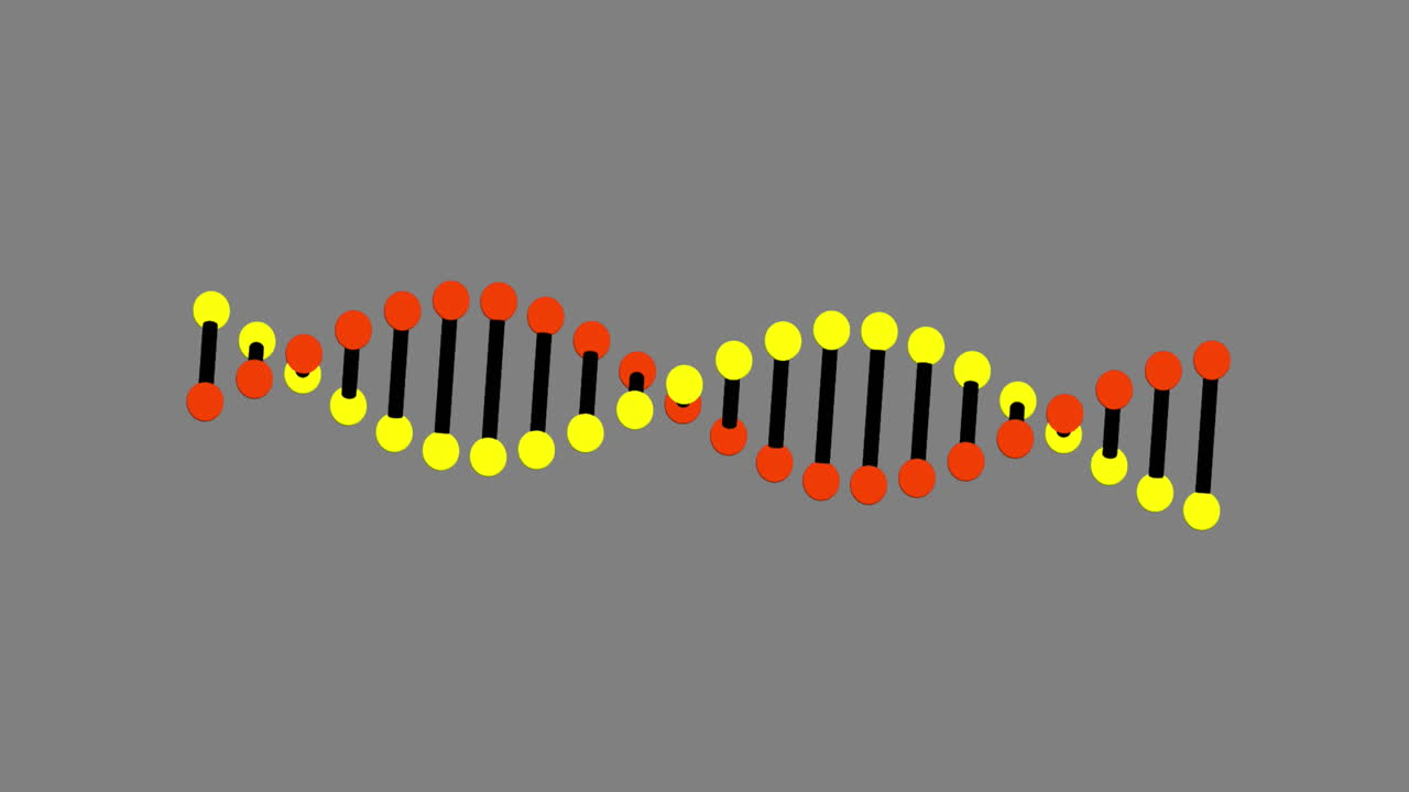 animación del adn girando sobre un fondo gris