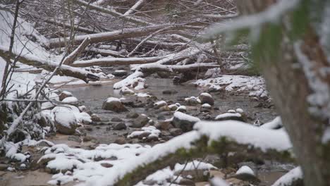 long shot of running water in a creek with fallen trees on a winter day