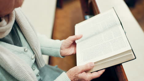 open book, bible or hands of woman in church ready