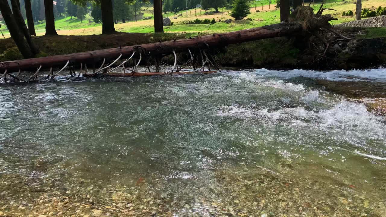 부체기 산에서 바람이 많이 부는 날 바닥에 돌이 있는 맑은 물 강 개울 위에 떨어진 봄 숲 나무