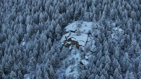 Colorado,-Weihnachten,-Schattig,-Kühles-Blau,-Felsige-Berge,-Es-Schneit-Unter-Dem-Gefrierpunkt,-Gefrostet,-Erster-Schnee,-Kiefernwald,-Immergrün,-Morrison,-Denver-Mount,-Blauer-Himmel,-Evans,-Filmische-Luftaufnahme,-Drohne,-Kreis,-Bewegung-Nach-Rechts