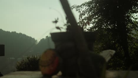 Rustic-still-life-with-earthen-pot-and-dried-plants,-warm-sunset-backlight,-serene-rural-setting