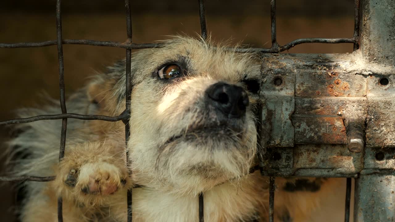 에 인 행복한 개