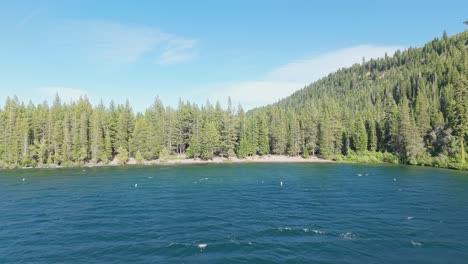 the shoreline of china cove stretches calmly, as the drone view displays the organic flow of land and water.
