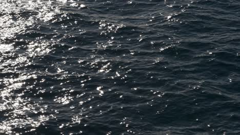 Low-waves-and-ripples-on-the-dark-surface-of-the-water