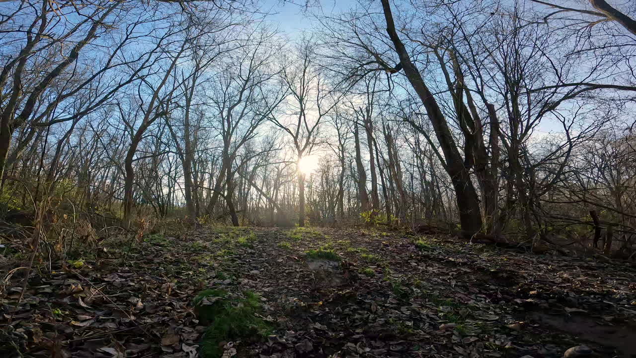 오르막길을 덮은 잎사귀에서 움직이는 모든 지형 차량의 뒤에서 바라보는 관점
