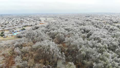 Volando-Sobre-Las-Copas-De-Una-Gran-Sección-De-árboles-Que-Brillan-Con-Mucho-Hielo-De-Una-Tormenta