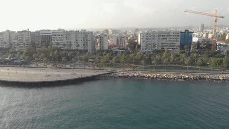 sea boulevard with palmtrees - aerial view