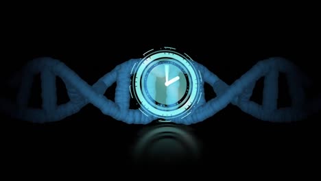 animation of clock moving over dna strand on black background