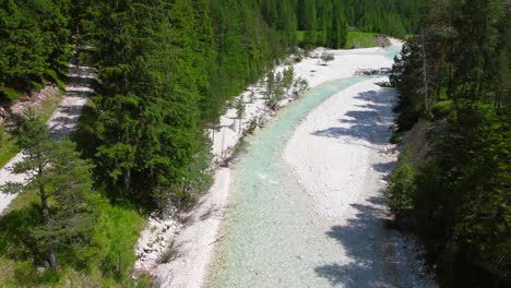 aerial-top-down-of-white-pebble-beach-in-natural-green-forest-during-summer