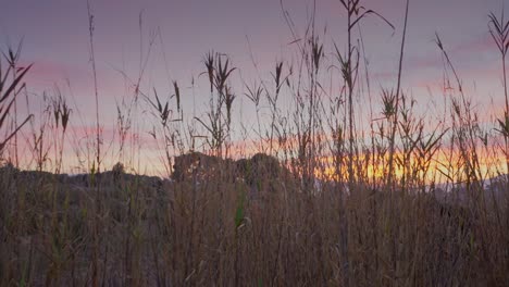 sunset with orange and pink sky