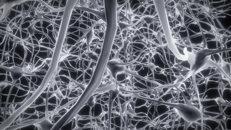 Neurons brain mind axon thought neural network hologram cell health science 4k