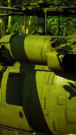 military helicopter poised amid lush jungle foliage for covert operation