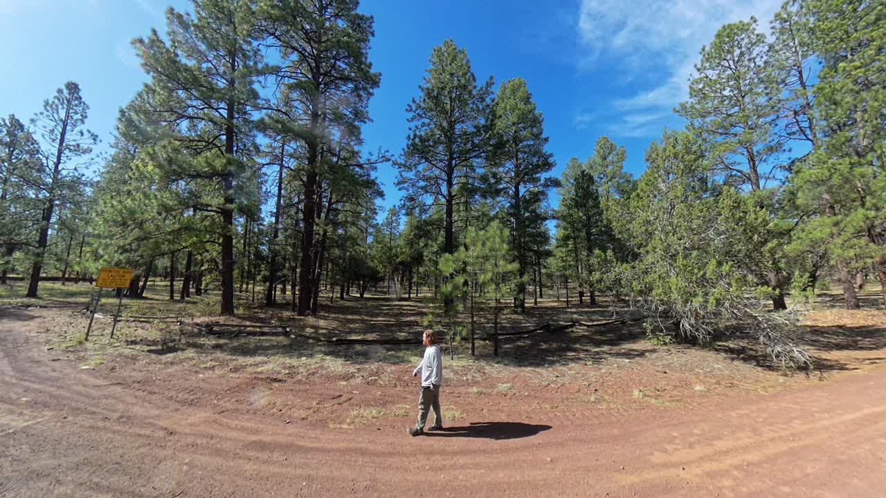 Red hair male walking around in a circle on a dirt path between Ponderosa Pines