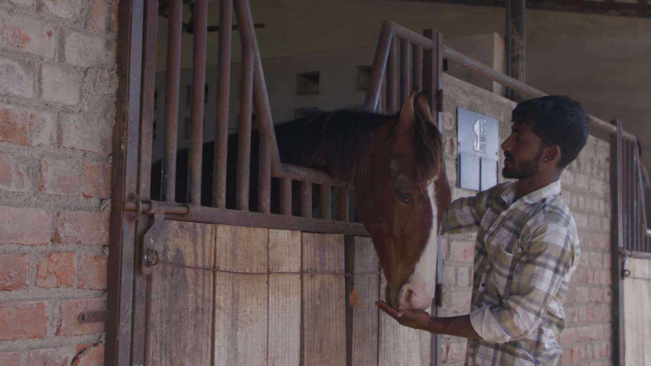 A man in a plaid shirt pets a horse in a barn where the horse behind a metal stable