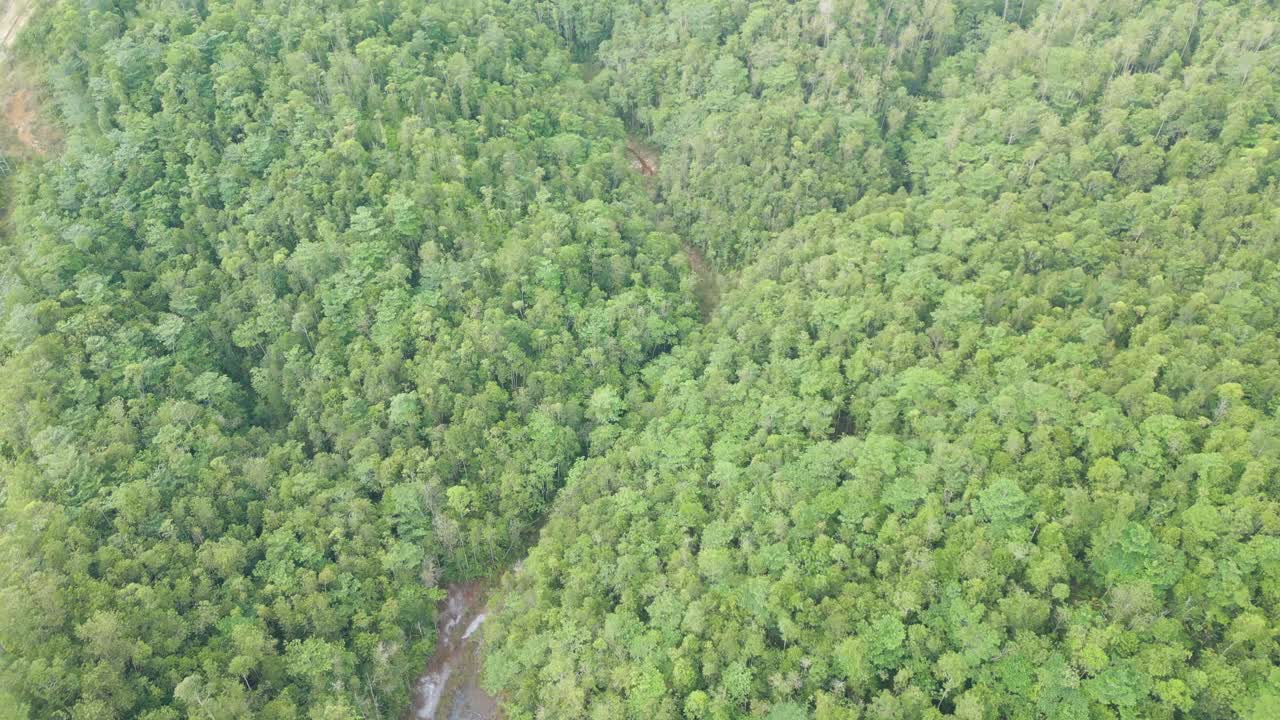 Aerial Drone View Of Sarawak Green Beautiful Forest During Raining Season,Asian Tropical Rain forest,Borneo.