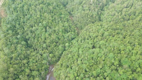 aerial drone view of sarawak green beautiful forest during raining season,asian tropical rain forest,borneo.