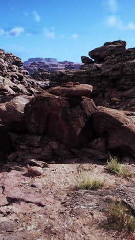 desert canyon landscape