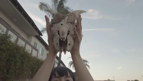 zoom of skull of animal with horns, held high by a woman's hands