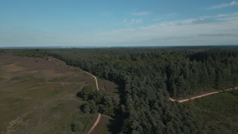 aerial shot pushing forward while descending over forest at daytime with blue sky
