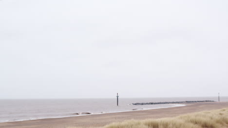 serene beach landscape on an overcast day