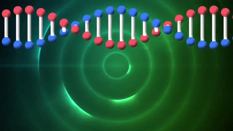 Animation-of-dna-strand-over-glowing-green-concentric-circles