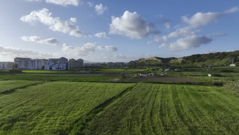 drone descending on a green field