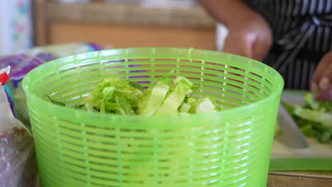 poner lechuga romana picada en el centrifugador de ensaladas - serie de ensaladas antipasto